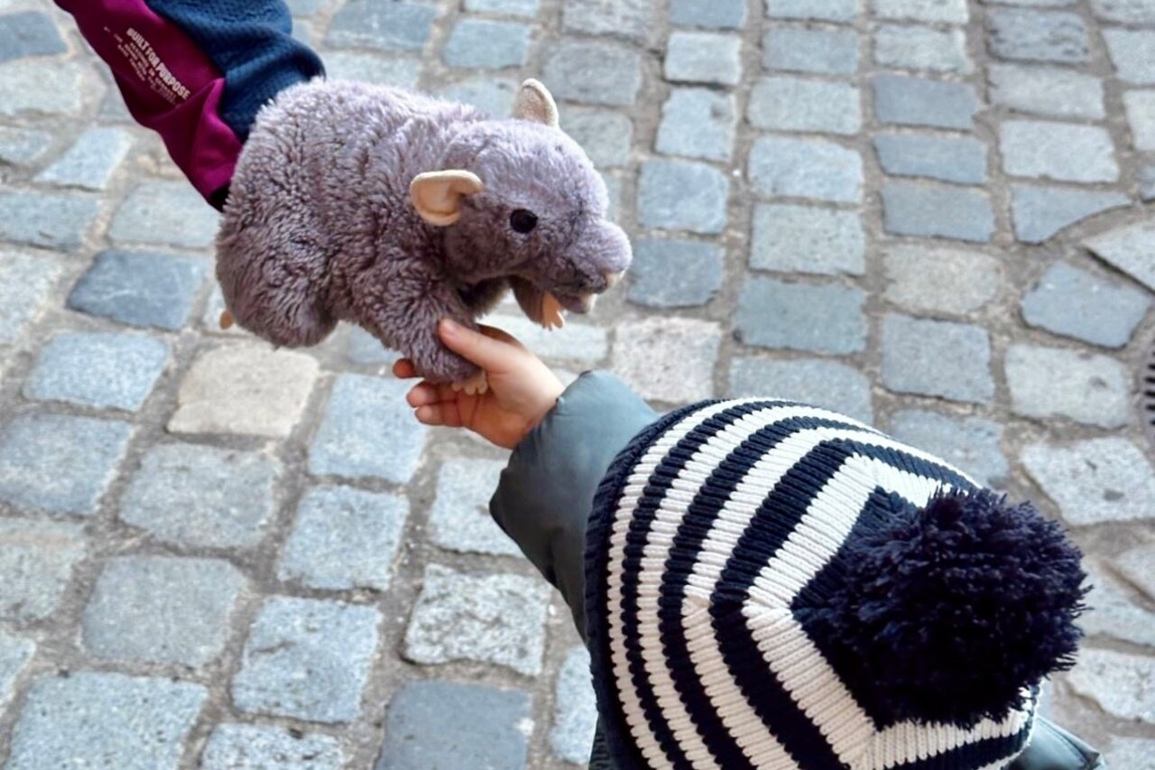 Eine graue Ratten-Handpuppe links und ein Kind mit Mütze rechts schütteln sich dich Hand