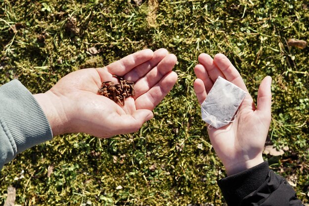 Zwei Handflächen mit Ärmelansatz vor grünem Hintergrund, auf der linken Handfläche Gewürznelken, auf der rechten ein Teebeutel