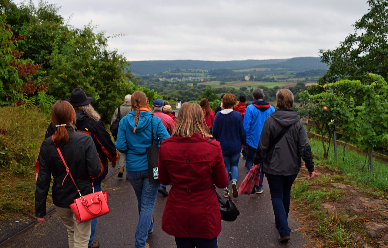 Eine Gruppe Erwachsener bei einer Wanderung von hinten fotografiert, im Hintergrund eine grüne Landschaft